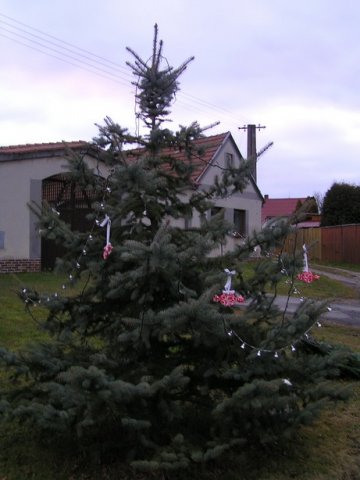 pc010025